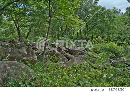 《広島県》久井の岩海 58768504