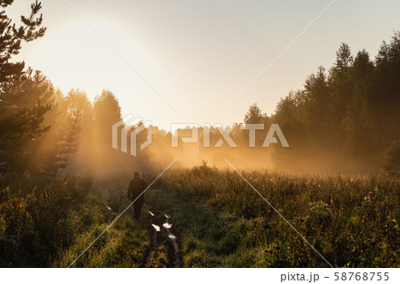 Bird Hunter at Sunrise going for hunt in a forest with his shotgun rifle. 58768755