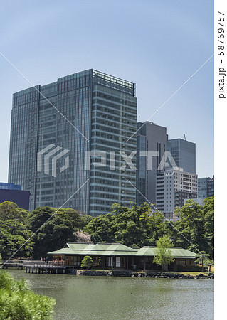 【浜離宮恩賜公園 染井吉野】 【浜離宮恩賜公園 染井吉野】 58769757