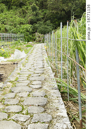 受水走水へ続く小道 受水走水へ続く小道 58771136