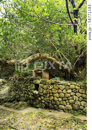 浜川御嶽 58771183