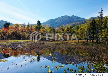 乗鞍の紅葉 乗鞍の紅葉 58771710
