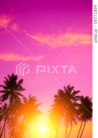 Beautiful sunset on tropical beach. Palm trees on island shore vertical with vivid sky as copy-space. 58771894