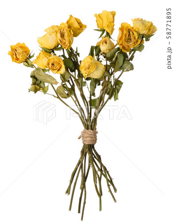 Dried yellow rosed bouquet isolated on white. 58771895