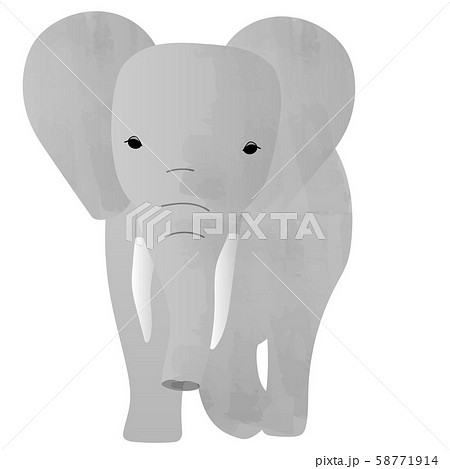 正面から見た象のイラストのイラスト素材 58771914 Pixta