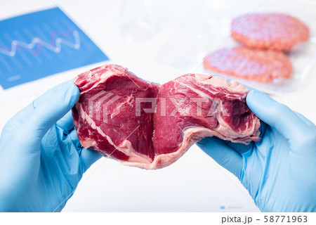 Red meat in lab scientist hands. Meat inspection control check or artificial cultured meat concept. Red meat in lab scientist hands. Meat inspection control check or artificial cultured meat concept. 58771963