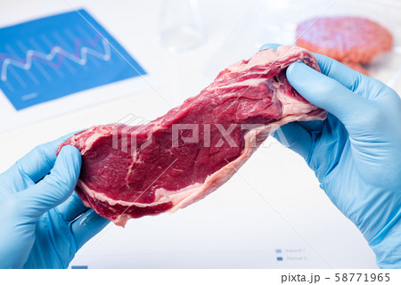 Meat in lab scientist hands. Meat inspection control check or artificial cultured meat concept. 58771965
