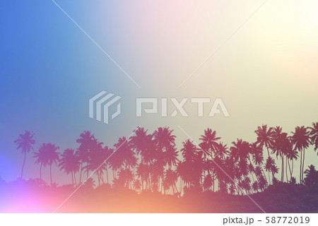 Palm trees on tropical beach, vintage toned and retro film light flare stylized 58772019