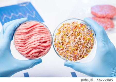 Plant based meat substitutes research. Cultured artificial laboratory meat in scientist hand concept. 58772085
