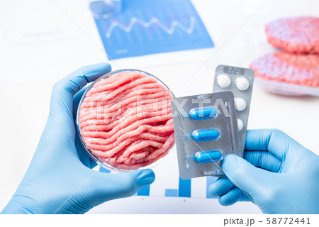 Meat in lab Perti dish and pills blisters in scientist hands. Antibiotic use in livestock research concept. 58772441