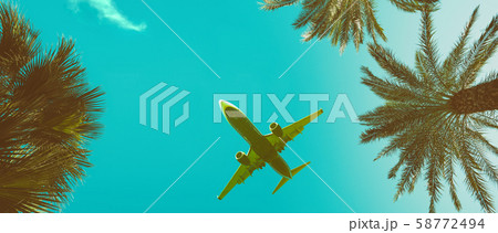 Palm trees perspective view long banner with airplane vintage toned with copy-space 58772494
