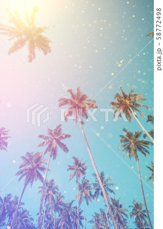Palm tree summer beach sunny day. Coconut palm trees vintage toned with gold glitter bokeh. 58772498