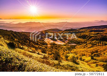朝日に照らされる芳ヶ平湿原の紅葉 日本国道標高最高地点からの写真素材