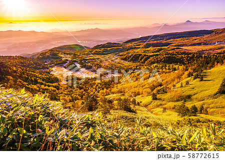 朝日に照らされる芳ヶ平湿原の紅葉・日本国道標高最高地点から 朝日に照らされる芳ヶ平湿原の紅葉・日本国道標高最高地点から 58772615