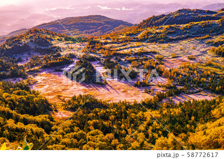 朝日に照らされる芳ヶ平湿原の紅葉・日本国道標高最高地点から 58772617