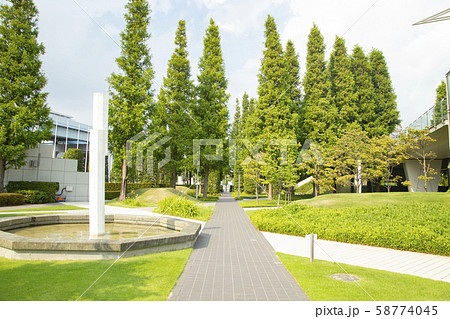 東京ビッグサイト庭園 東京ビッグサイト庭園 58774045