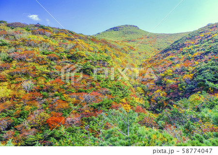紅葉の安達太良山麓と篭山 58774047