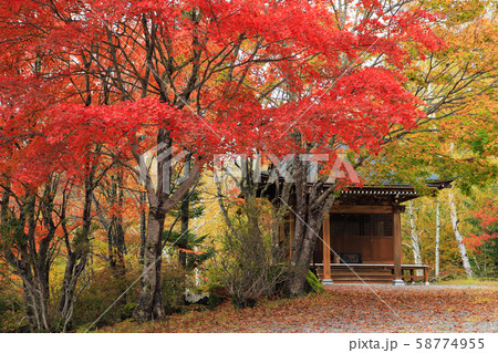 紅葉　横谷観音　蓼科高原 58774955