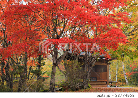 紅葉　横谷観音　蓼科高原 58774958
