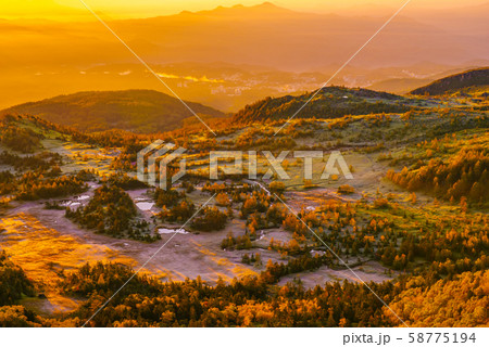 朝日に照らされる芳ヶ平湿原の紅葉・日本国道標高最高地点から 58775194