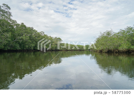 コルコバード国立公園 コルコバード国立公園 58775300