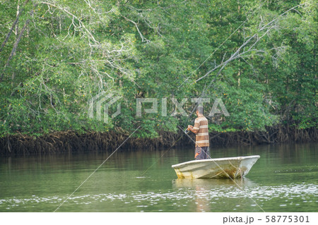 コルコバード国立公園 コルコバード国立公園 58775301
