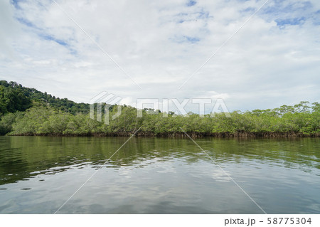コルコバード国立公園 コルコバード国立公園 58775304