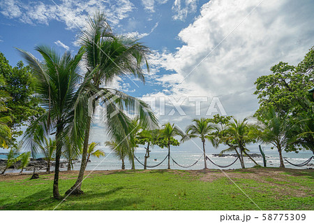 コルコバード国立公園 コルコバード国立公園 58775309