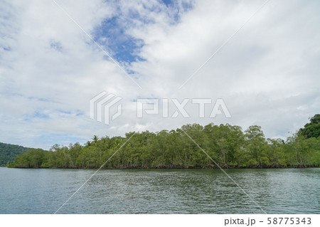 コルコバード国立公園 コルコバード国立公園 58775343