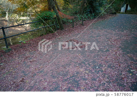 ハートの落ち紅葉_岩屋堂 ハートの落ち紅葉_岩屋堂 58776017