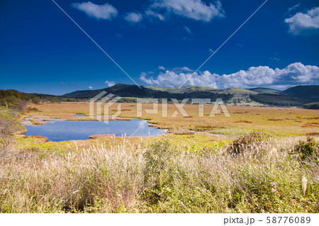 八島湿原 58776089