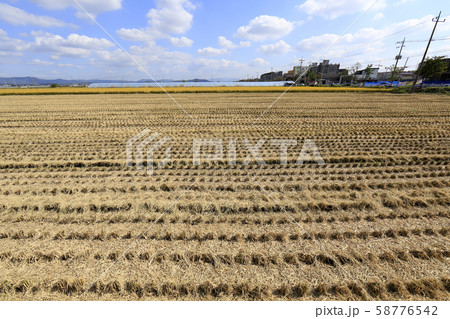 農村 秋 ノン 58776542