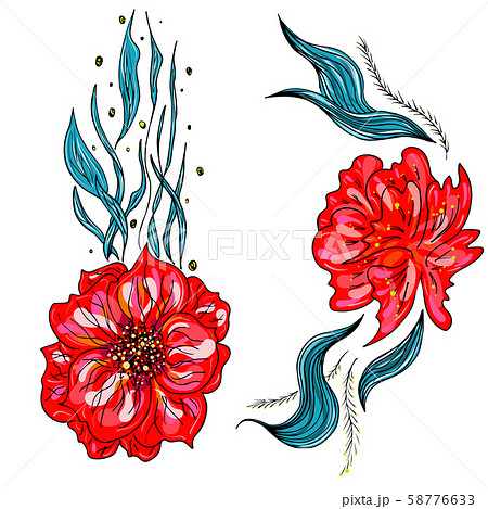 Set of summer colorful tropical flowers. Floral 58776633