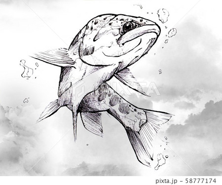 ヤマメ ヤマメ 58777174