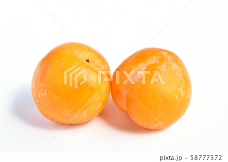 プラム（秋姫） 58777372