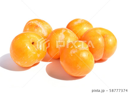 プラム(秋姫) プラム(秋姫) 58777374