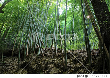滝山城 滝山城 58778754