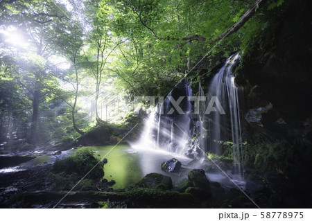猿壺の滝 58778975