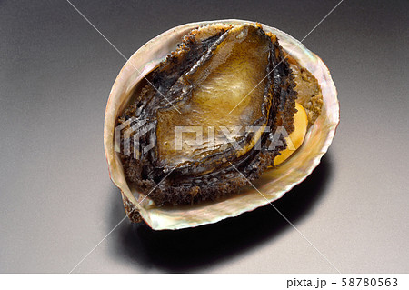 食べ物 貝 1枚貝 アワビ 海鮮高級食材 生アワビ 海鮮 刺身にも焼き物  