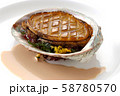 あわび料理　貝　魚介　食品　料理　あわび　あわびステーキ　焼き物　高級な料理　鉄板焼き料理　 58780570