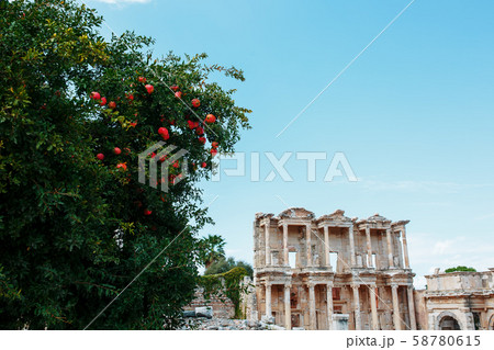 Celsus libraries against the blue sky and a tree Celsus libraries against the blue sky and a tree 58780615