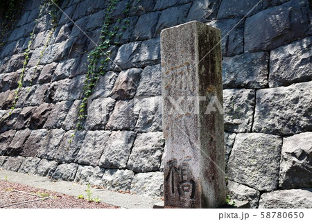 駿府城 駿府城 58780650