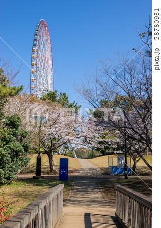 葛西臨海公園 桜 葛西臨海公園 桜 58780931
