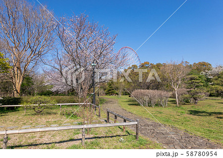 葛西臨海公園 桜 葛西臨海公園 桜 58780954