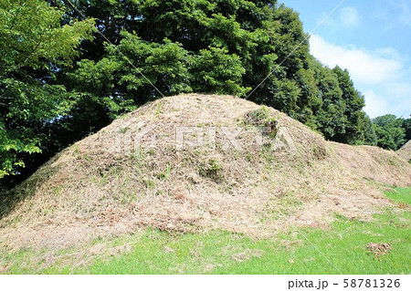 興国寺城 興国寺城 58781326