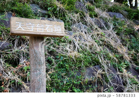 興国寺城 興国寺城 58781333