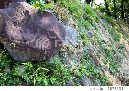 興国寺城 興国寺城 58781334