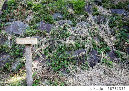 興国寺城 興国寺城 58781335