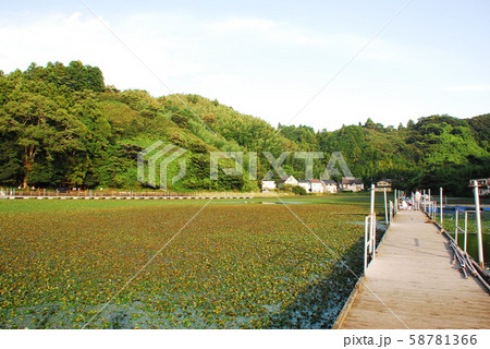 鯨ヶ池と釣り用桟橋(静岡市葵区) 鯨ヶ池と釣り用桟橋(静岡市葵区) 58781366