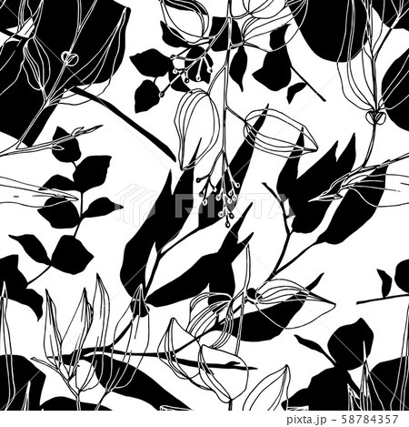 Vector Eucalyptus tree leaves jungle botanical. Black and white engraved ink art. Seamless Vector Eucalyptus tree leaves jungle botanical. Black and white engraved ink art. Seamless 58784357